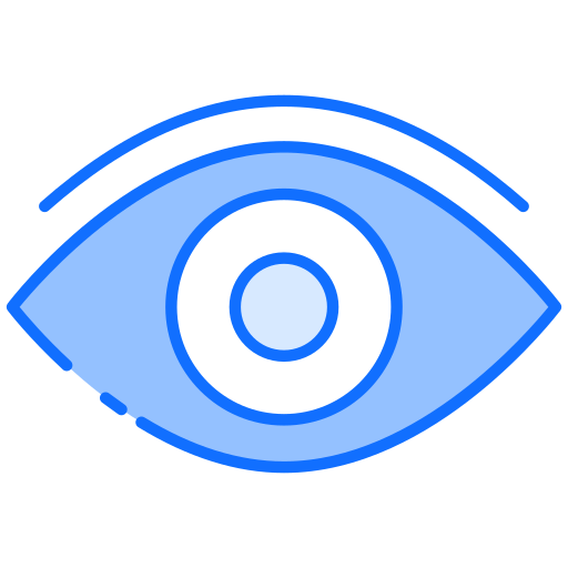 VISION